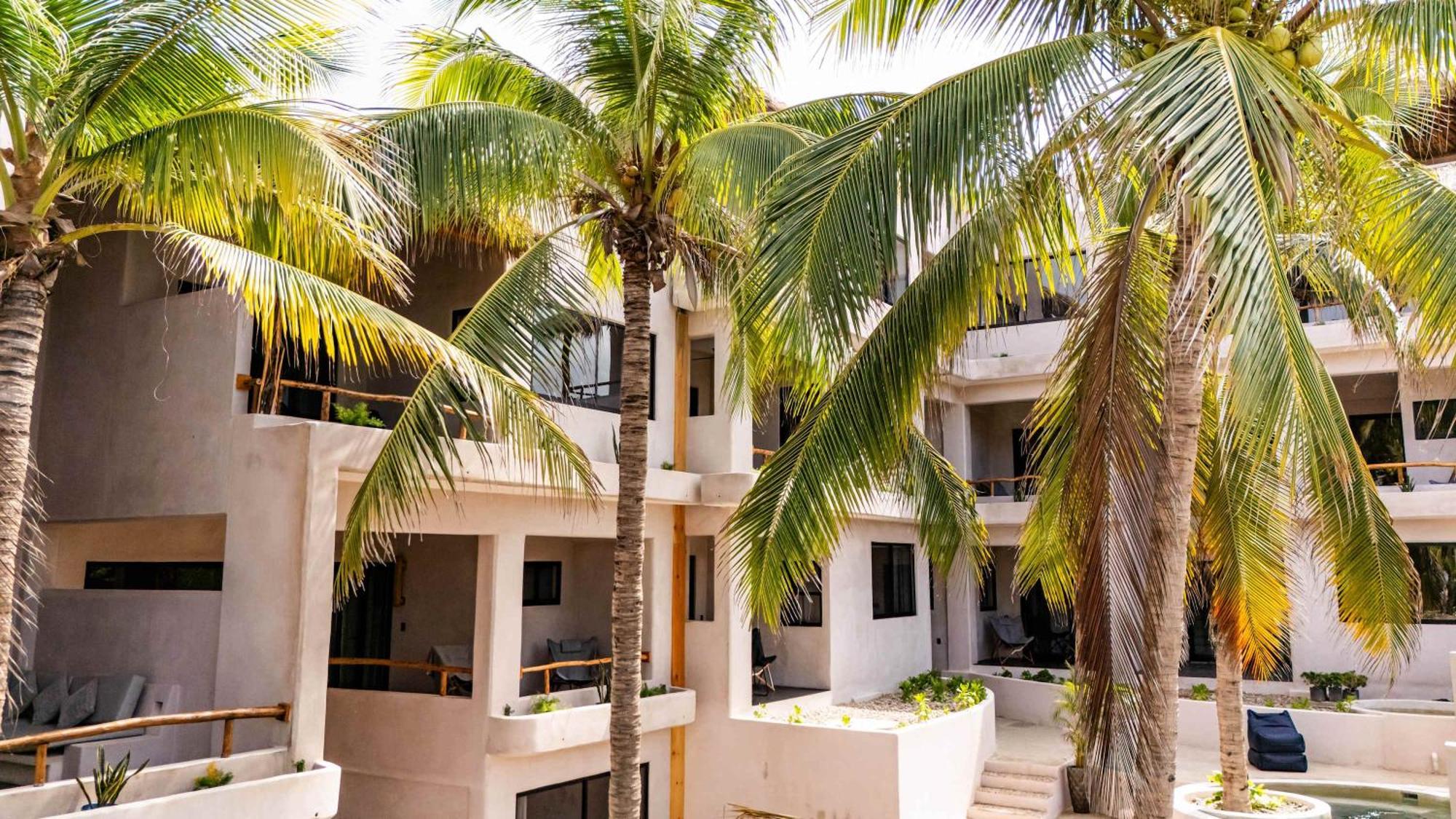 Casa Leah Premium Ocean View Apartments With 2 Pools - Ac In Bedroom - Near Zicatela Beach And La Punta Puerto Escondido -14 Puerto Escondido (Oaxaca) Exterior foto
